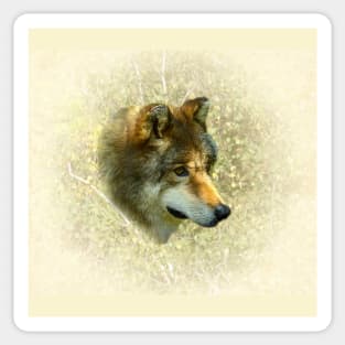 Wolf portrait Sticker